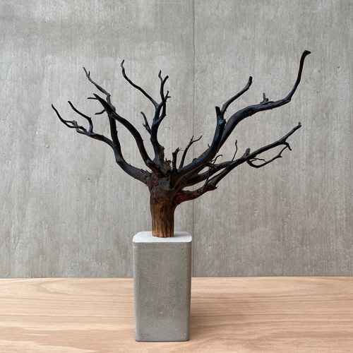 コンクリート盆栽 】 流木 木 オブジェ ディスプレイ 高級感
