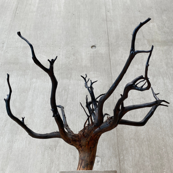 【 コンクリート盆栽 】 流木 木 オブジェ ディスプレイ 高級感 スタイリッシュ インテリア アート アクセサリー 3枚目の画像
