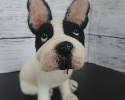 羊毛フェルト フレンチブルドッグ パイド