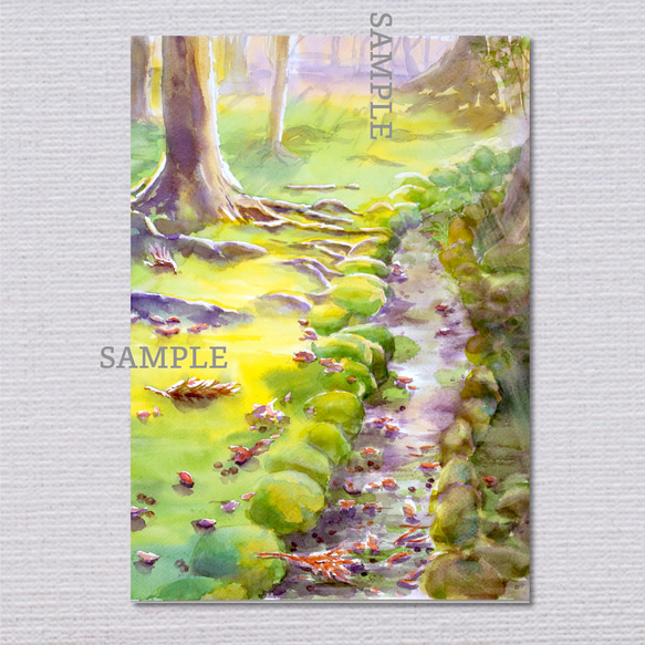 風景画 A4サイズ 透明水彩 アートポスター 癒し 『苔庭に