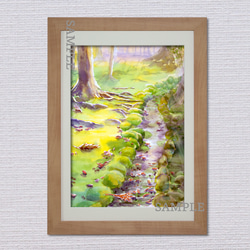 風景画　A4サイズ　透明水彩　アートポスター　癒し　『苔庭に木漏れ日さして』 2枚目の画像