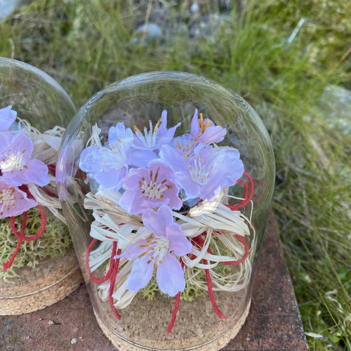★美品・紙タグ付き★ nagonstans フォトプリントT フラワー 桜 春が来た♪ ガラスドームに入った小さな桜のアーティフィシャル