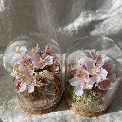 春が来た♪ ガラスドームに入った小さな桜のアーティフィシャル