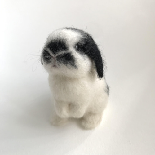 うさぎ 羊毛フェルト ロップイヤー ミニうさぎ ブロークンブラック
