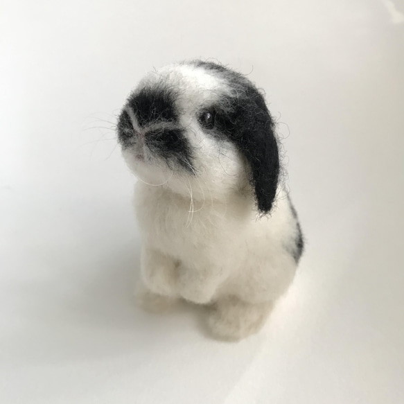 うさぎ 羊毛フェルト ロップイヤー ミニうさぎ ブロークン