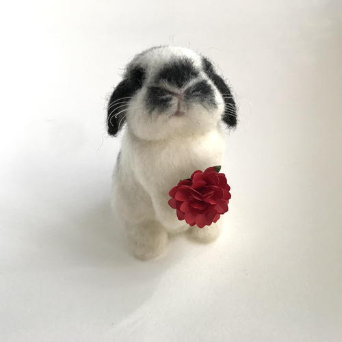 うさぎ 羊毛フェルト ロップイヤー ミニうさぎ ブロークン うさぎ 羊毛フェルト ロップイヤー ミニうさぎ ブロークン