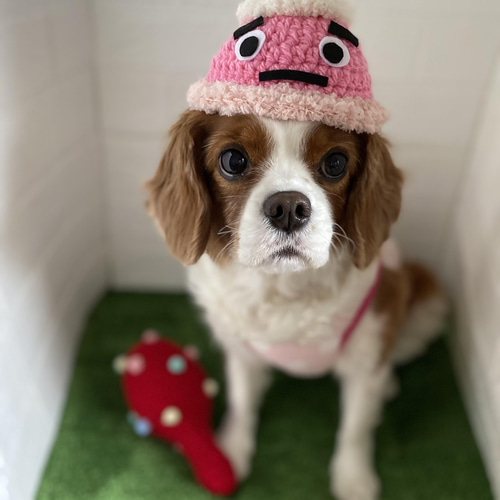 ☆ もふもふ様 ハンドメイド犬セーター ☆ 【公式通販】