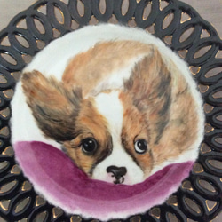 シャイな犬の絵皿 3枚目の画像