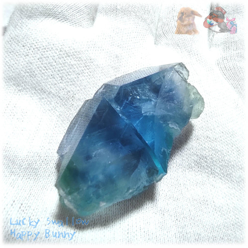【珍品】ブルーフローライト　原石　標本 ◇ 結晶断面標本セット 秘蔵品 宝石質 特殊希少カラー ブルー