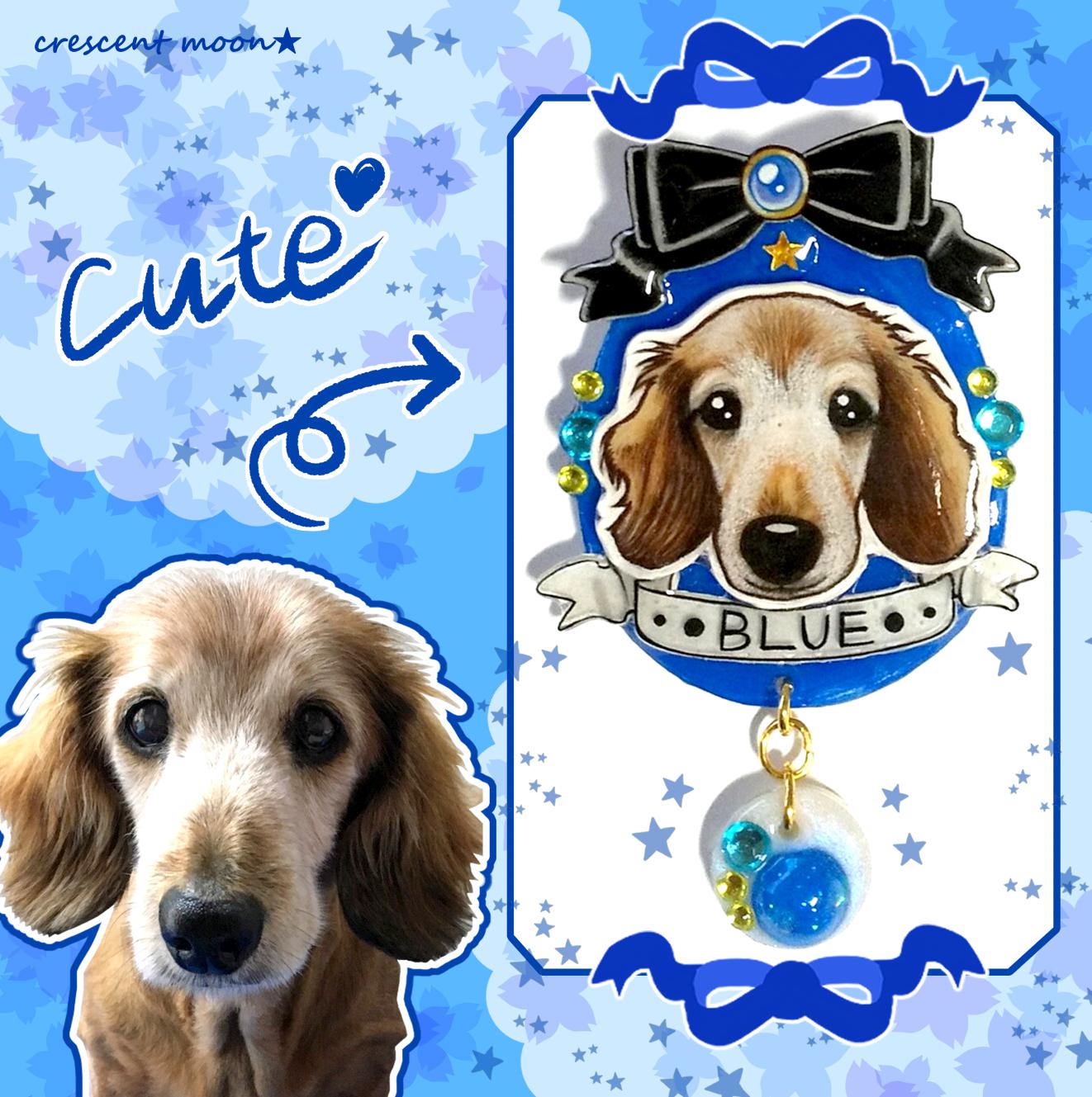 【ペットプラバン作品】似顔絵　作成例 ※。.:*:・'°☆