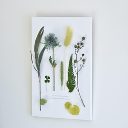 グリーンの植物の木製プレート 植物標本　壁掛け　ドライフラワー 2枚目の画像