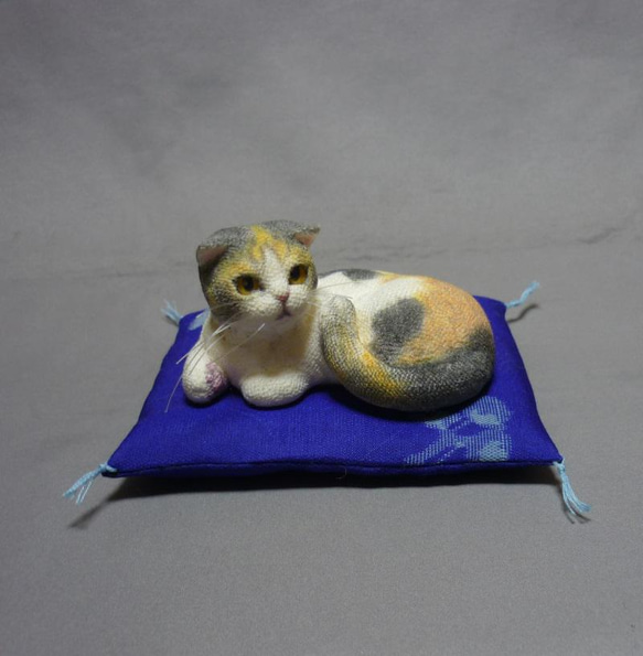 ｈ様ご注文品　手乗り猫　スコティッシュフォールド 7枚目の画像