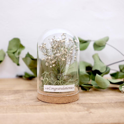 ガラスドーム/かすみ草/ドライフラワー ドライフラワー 花呟-kagen