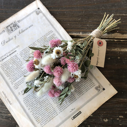 ピンク千日紅 ドライフラワー スワッグ 花束 スワッグ dahlia-gardens