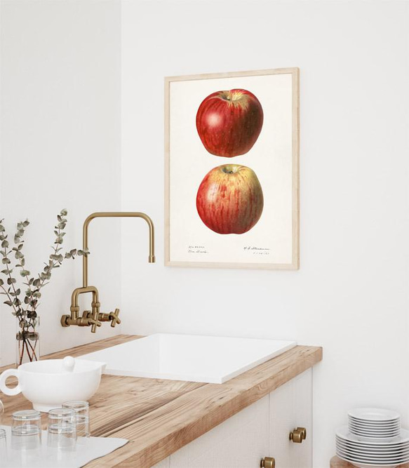 アップル / アートポスター イラスト ミニマル 果物 フルーツ レッド 赤 アートプリント リンゴ 林檎 2枚目の画像