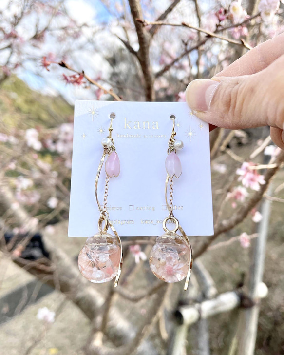 ピアス　ハーバリウム　ハート　ピンク　蝶　蓄光　光る　赤　推し活　バレンタイン ピアスハーバリウムハートピンク蝶蓄光光る赤推し活バレンタイン