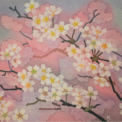 染めアート　植物シリーズ　桜 3枚目の画像