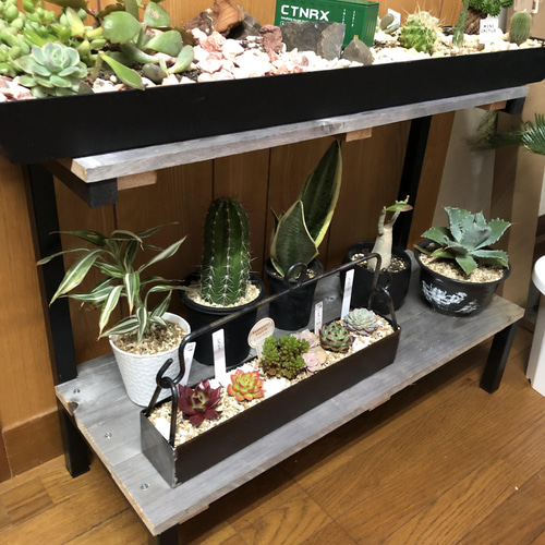 古材×アイアンラック スチールラック 植物棚 棚・シェルフ 古材×アイアンラック スチールラック 植物棚 棚・シェルフ