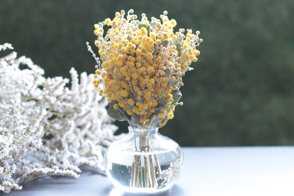 水替え不要】たっぷりミモザのぽってりガラスフラワー＊ドライフラワー