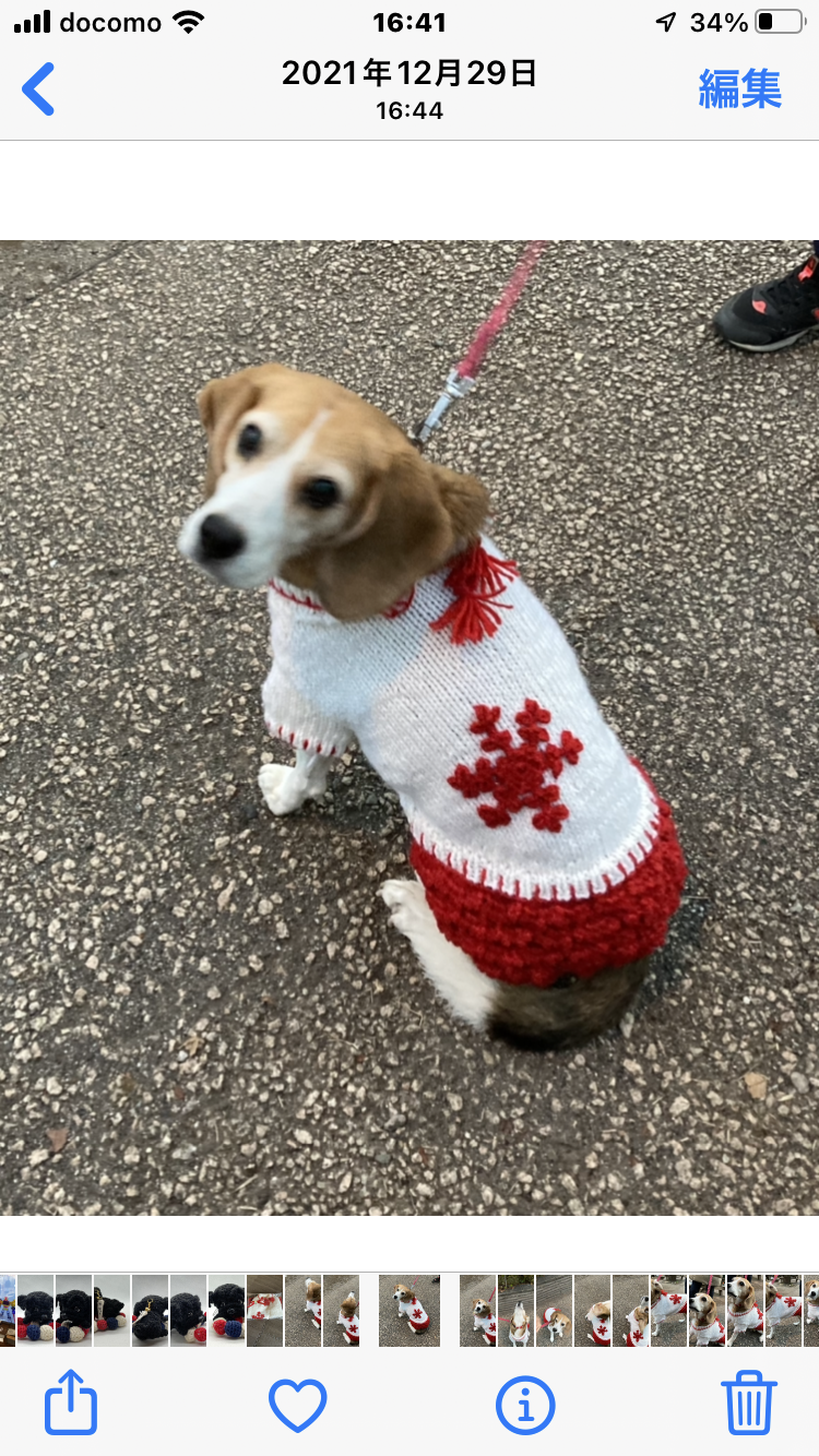 雪の結晶柄セーター中型犬用