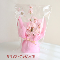 《ずっと咲いてる》28cmコロンと可愛い桜の一輪挿しアレンジ（無料ギフトラッピング） 8枚目の画像