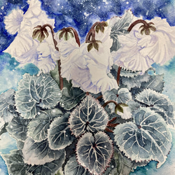 白いシクラメン 絵画 Setsu 通販 13227470｜Creema(クリーマ)