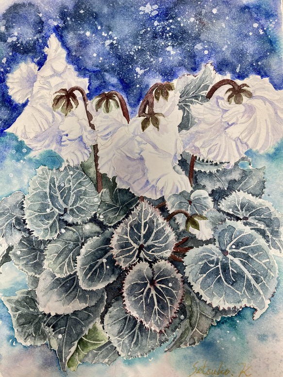 シクラメン」 by YOKO｜Artmeter｜暮らしを彩るアートが、きっと