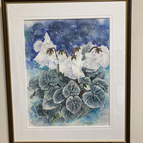 白いシクラメン 絵画 Setsu 通販 13227470｜Creema(クリーマ)