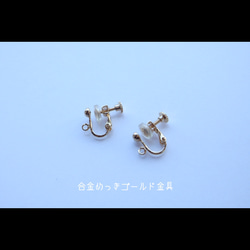 ✦クラシカルモチーフ✦ピアス/イヤリング【ロジウム】classical motif pierce/earring 11枚目の画像