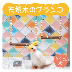 インコちゃんの✩.*˚安心♪天然木のブランコ 選べる２サイズ　小型〜中型向け 1枚目の画像