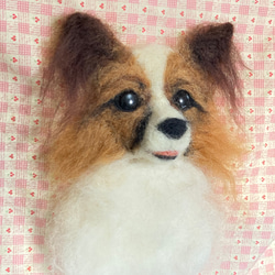 羊毛フェルト　パピヨン　チベタンスパニエル　『専用』 0_61dde3d8d5ccadb924892cdd7cc1