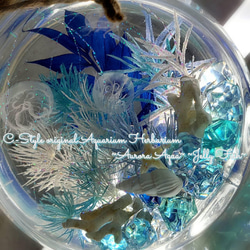 綺麗なクリスタルの海 Aurora Aqua☆Jewelry Fish☆ 3枚目の画像