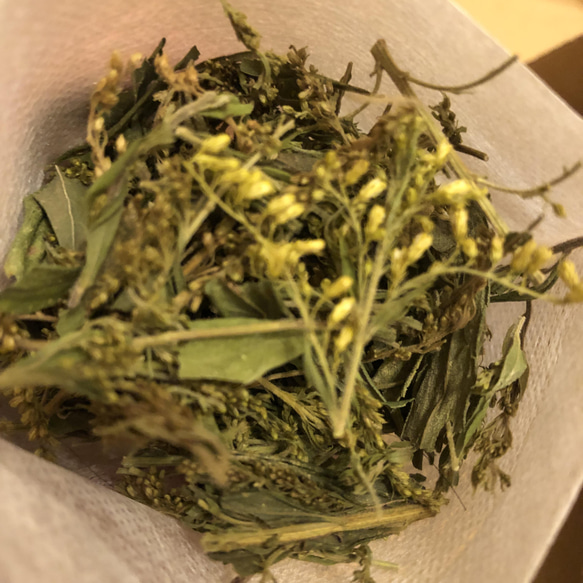 背高泡立草　　10g×18袋  セイタカアワダチソウ 4枚目の画像