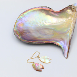 “櫻花花瓣”珍珠貝殼耳環-14kgf 第5張的照片