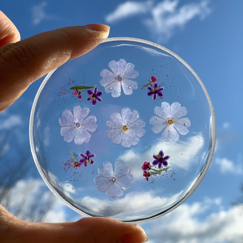 押し花レジンコースター 004 コースター Chura Sea Sango 通販