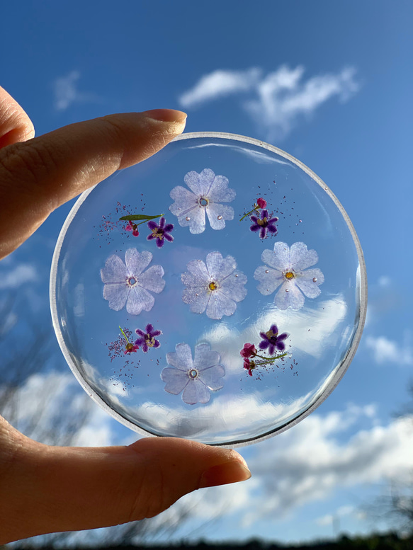 押し花レジンコースター 004 コースター Chura Sea Sango 通販