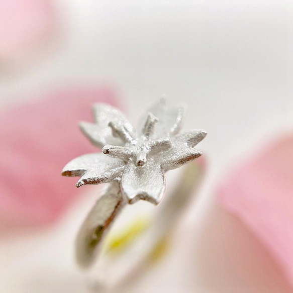 やさしさ一輪さくらのイヤーカフ◇桜 サクラ 純銀 ピュアシルバー 片耳用 イヤカフ カフス お花 小さい 春 12枚目の画像