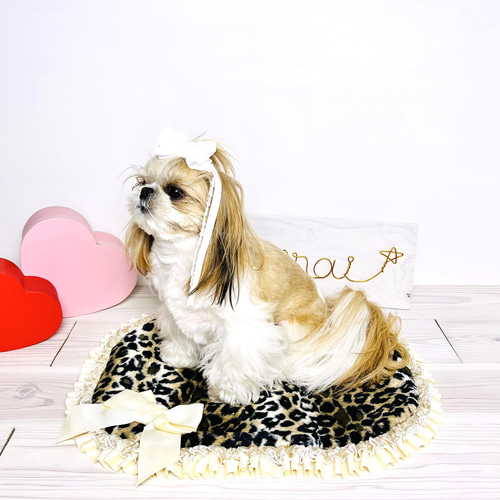 for pets only ☆フォーペッツオンリー レオパード柄 フリル リード