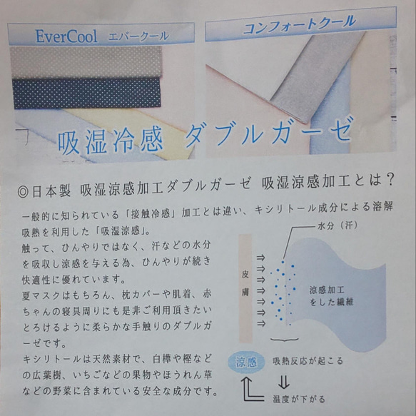 【送料無料】いちご&青い花/ダブルガーゼ/レース/内側生地選択可能/マスクカバー/不織布マスクカバー/インナーマスク 5枚目の画像