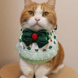 猫服　ケープ　クローバー　春 2枚目の画像