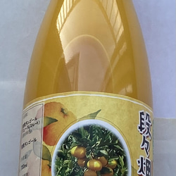 愛媛　西宇和産　みかんジュース　720ml 6本 2枚目の画像