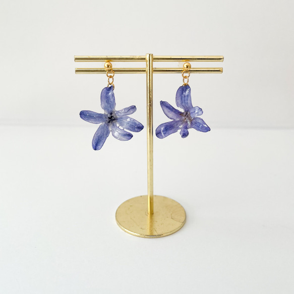 ヒヤシンス　ブルー　ピアス（イヤリング）✳︎生花のアクセサリー 3枚目の画像