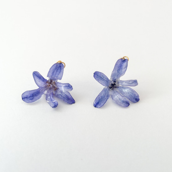 ヒヤシンス　ブルー　ピアス（イヤリング）✳︎生花のアクセサリー 2枚目の画像