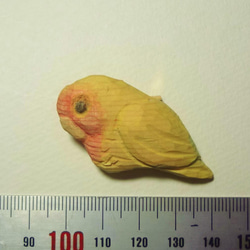 木彫刻 ブローチ 『 コザクラインコ 』　鳥　バッチ　　 6枚目の画像