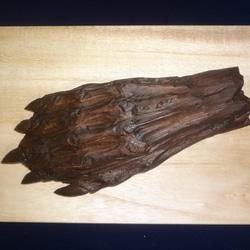 木彫刻 アート 『 河童の手のミイラ 』 芸術 アート ハンドメイド 松 手彫り 彫刻 3枚目の画像