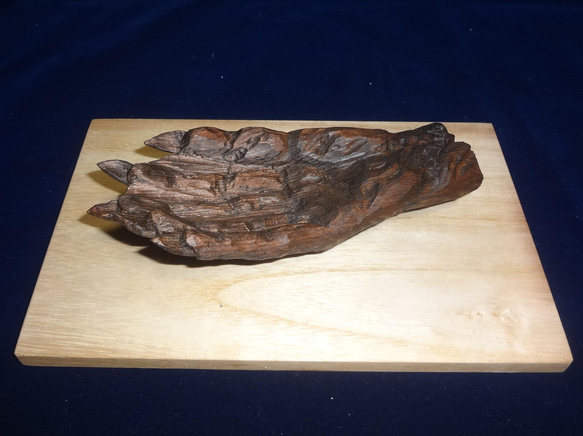 木彫刻 アート 『 河童の手のミイラ 』 芸術 アート ハンドメイド 松 手彫り 彫刻 5枚目の画像