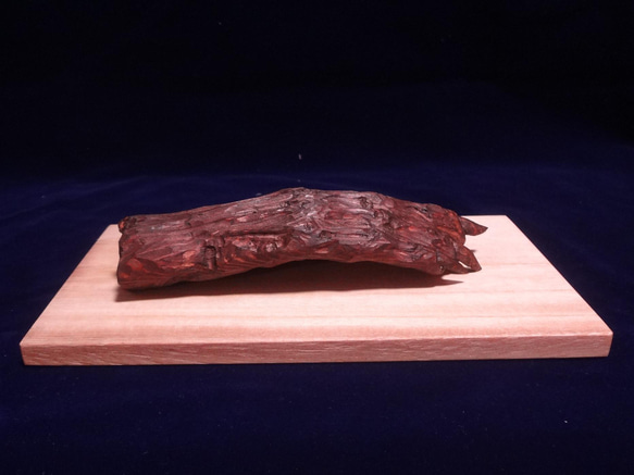 木彫刻 アート 『 河童の手のミイラ 』 芸術 アート ハンドメイド 松 手彫り 彫刻 10枚目の画像