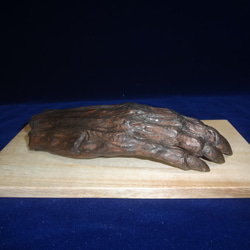 木彫刻 アート 『 鬼の手のミイラ 』 芸術 アート ハンドメイド 松 手彫り 彫刻 8枚目の画像