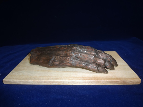 木彫刻 アート 『 鬼の手のミイラ 』 芸術 アート ハンドメイド 松 手彫り 彫刻 8枚目の画像