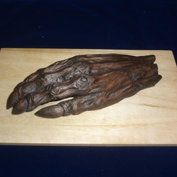 木彫刻 アート 『 鬼の手のミイラ 』 芸術 アート ハンドメイド 松 手彫り 彫刻 1枚目の画像